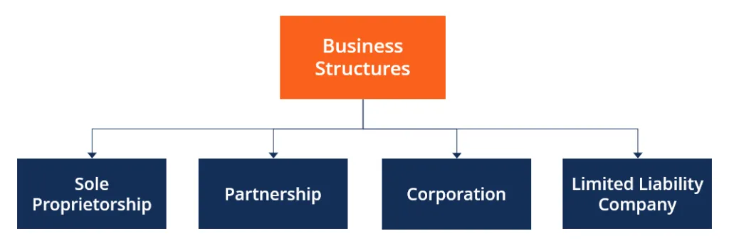 A diagram showing different business structures (e.g., sole proprietorship, LLC, corporation) with their pros and cons